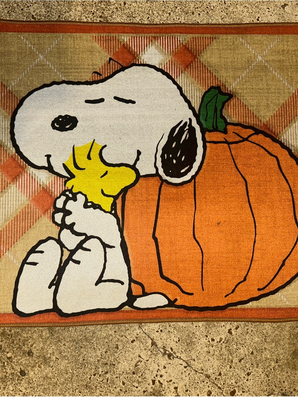 Peanuts Snoopy Pumpkin Fall Accent Rug